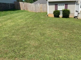 Kristian M.'s lawn care service result