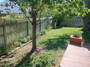 Hannah Y.'s Bush Trimming service result