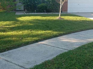Bethany H.'s lawn care service result