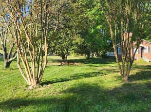Julie V.'s turf maintenance service result