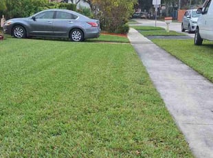 Steven K.'s lawn care service result