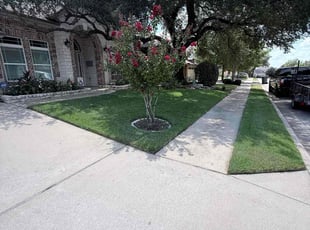 Lydia S.'s turf maintenance service result