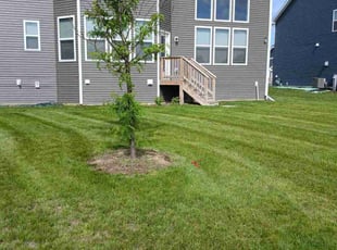Christopher H.'s turf maintenance service result