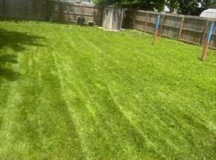 John M.'s lawn care services service result