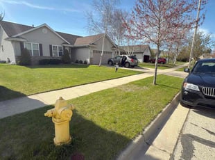 Kenneth R.'s grass maintenance service result