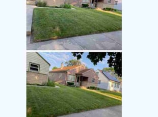 Melanie S.'s lawn care service result
