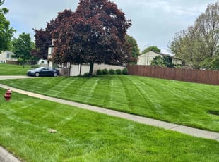 Rickey W.'s lawn maintenance service result