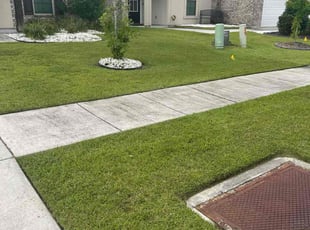 Tabitha N.'s turf maintenance service result