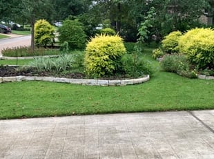Liz M.'s grass cutting service result
