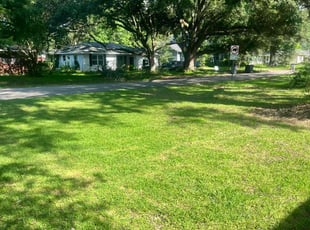 Connie S.'s yard maintenance service result