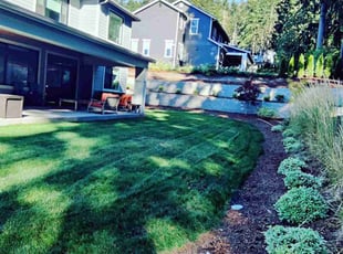 Dianna C.'s turf care service result