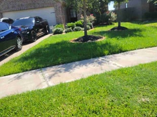 Anthony P.'s grass cutting service result