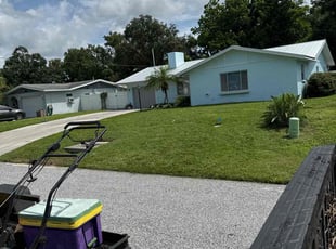 Courtney K.'s grass maintenance service result