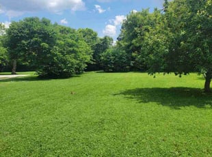 Jordan D.'s turf care service result