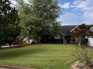 Silvi P.'s turf care service result