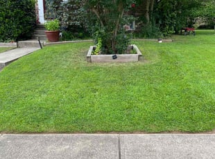 Randy W.'s gardening service service result