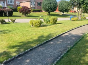 Carol T.'s lawn service service result