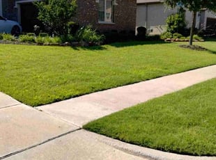 Lex A.'s turf maintenance service result