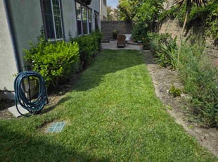 Patricia C.'s lawn maintenance service result