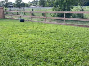 James K.'s lawn maintenance service result