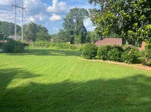 Shernette H.'s turf care service result
