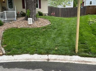 Cristina P.'s lawn care service result