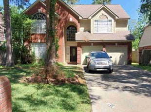 Ned K.'s lawn care service result