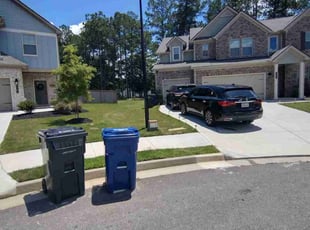 Roman G.'s lawn care service result
