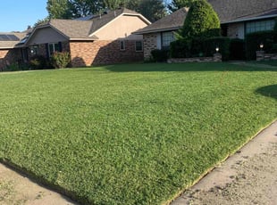 Craig S.'s lawn service service result