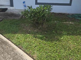 Richard L.'s turf care service result