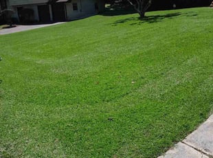 Rebecca R.'s lawn maintenance service result