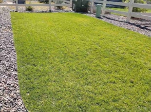 Sharon H.'s Bush Trimming service result