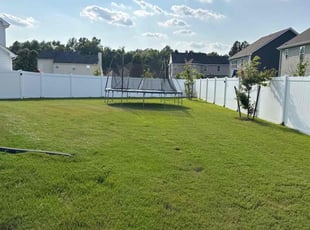 Dwaylene Y.'s lawn care services service result