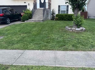 Deborah M.'s lawn maintenance service result