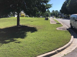 Emmanes W.'s lawn service service result