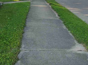 Jeanne T.'s grass maintenance service result