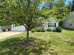 Sharon C.'s turf maintenance service result