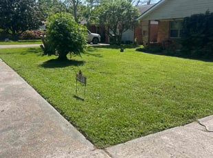 Ron B.'s turf maintenance service result