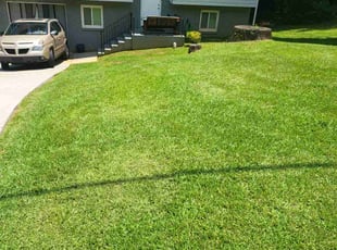 Joyce J.'s yard care service result