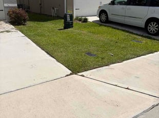 Luis L.'s grass maintenance service result