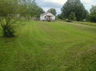 Thomas B.'s Cleanup service result