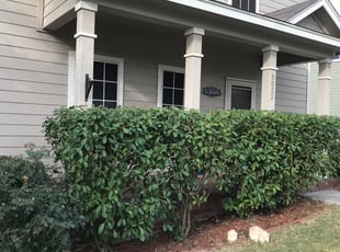 Korie C.'s Bush Trimming service result