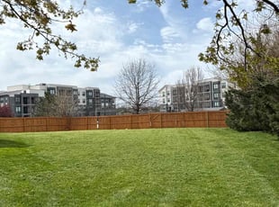 Rakesh K.'s grass cutting service result