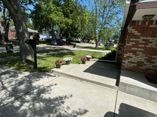 Matthew P.'s turf maintenance service result