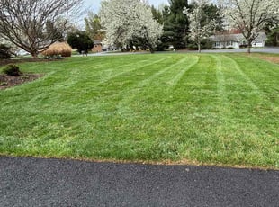 Sharon P.'s grass cutting service result