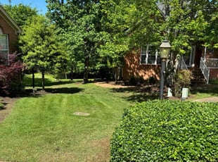 Sam C.'s lawn care services service result