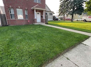 Shalon P.'s lawn service service result