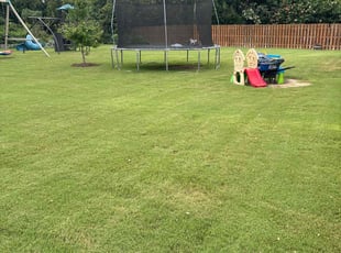 Faust A.'s lawn care service result
