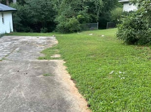 Richard B.'s lawn care service result