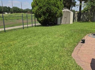 Jotham M.'s lawn service service result